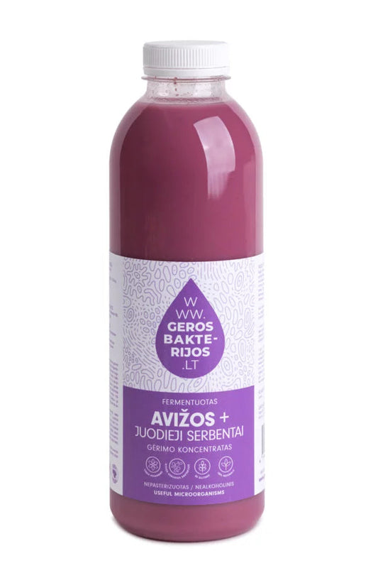 Naturalny napój probiotyczny Owies+Czarna Porzeczka Mój sklep